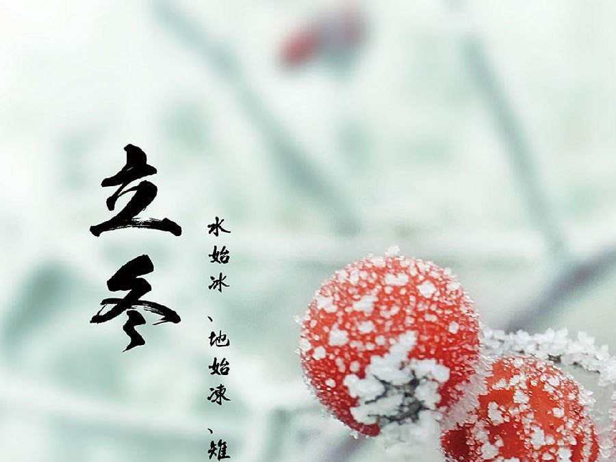今日立冬，啟睿喊你吃餃子嘍